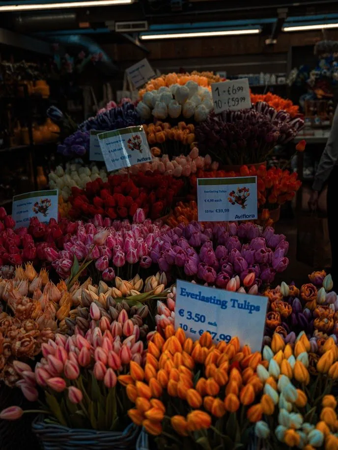 Tulipanes en el Bloemenmarkt de Ámsterdam