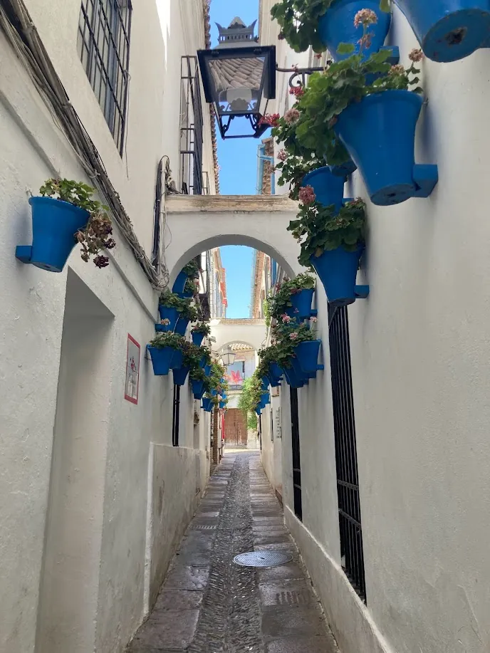 La Calleja de las Flores en Córdoba con macetas azules colgadas en las paredes blancas
