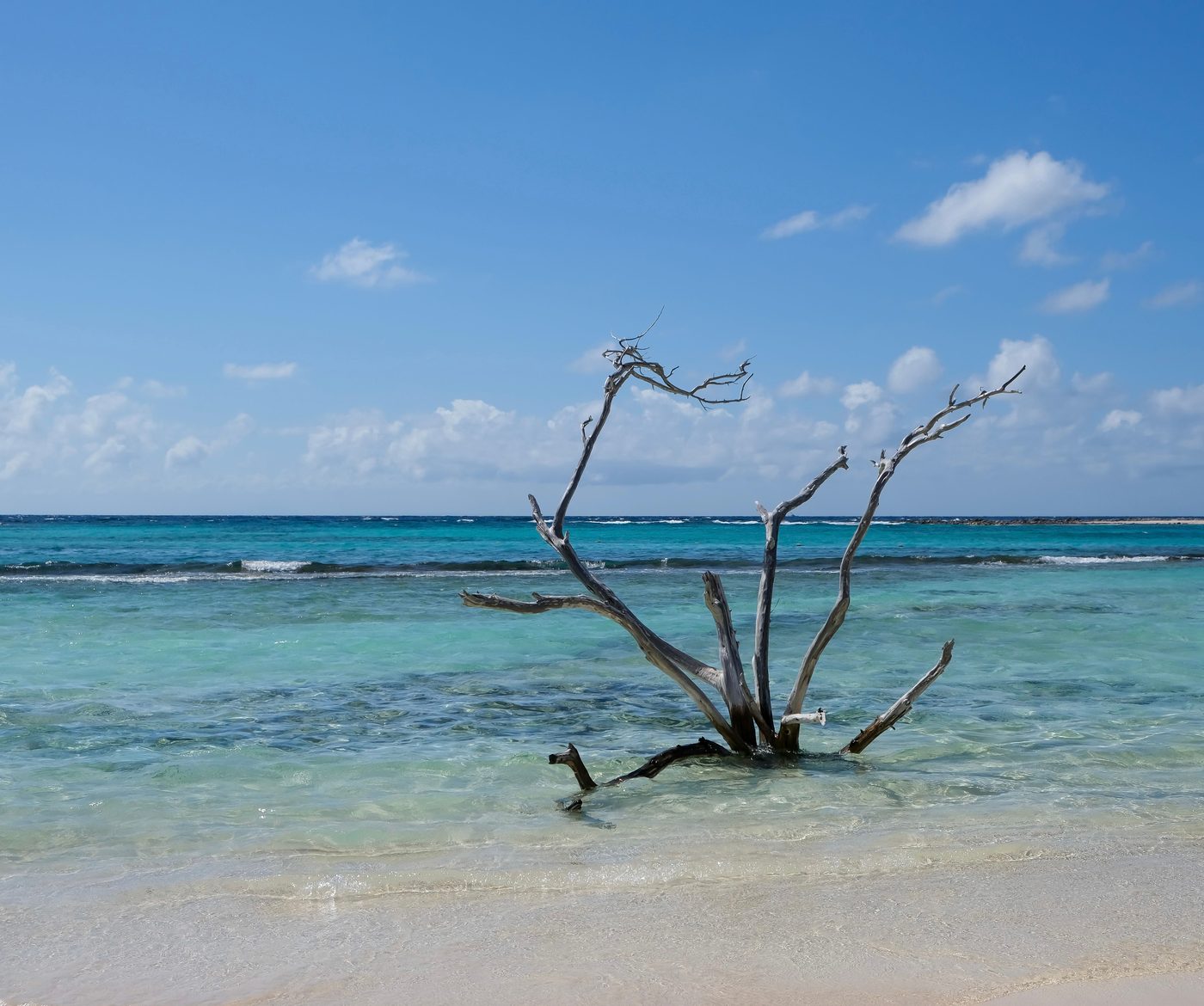 Baby Beach, Aruba