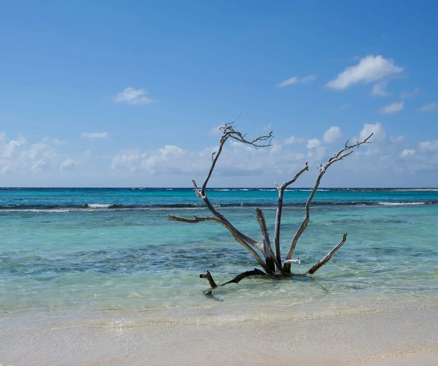 Baby Beach, Aruba