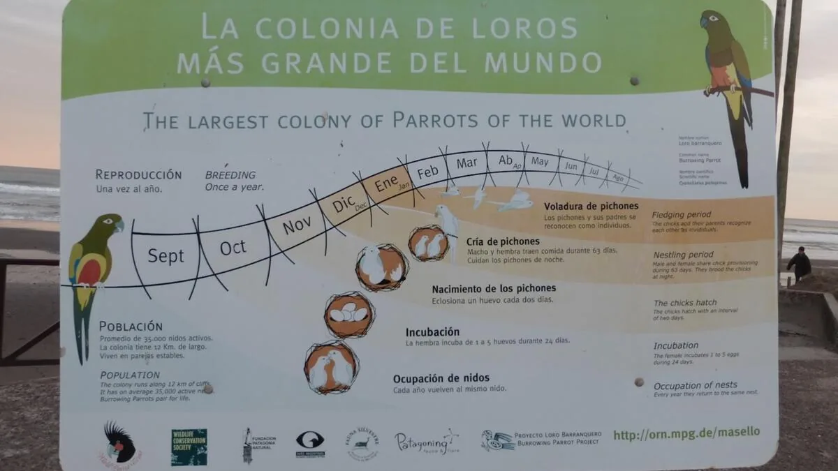 Cartel de la colonia de loros más grande del mundo
