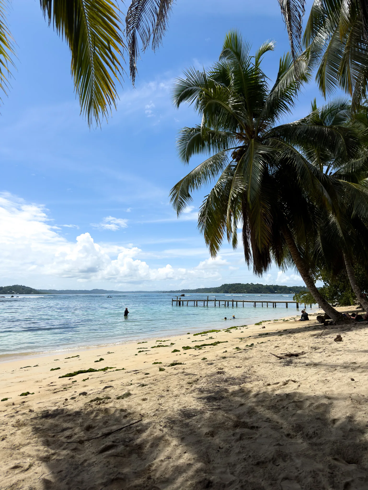 Playa de Isla Carenero con palmeras y muelle de madera sobre el Caribe panameño