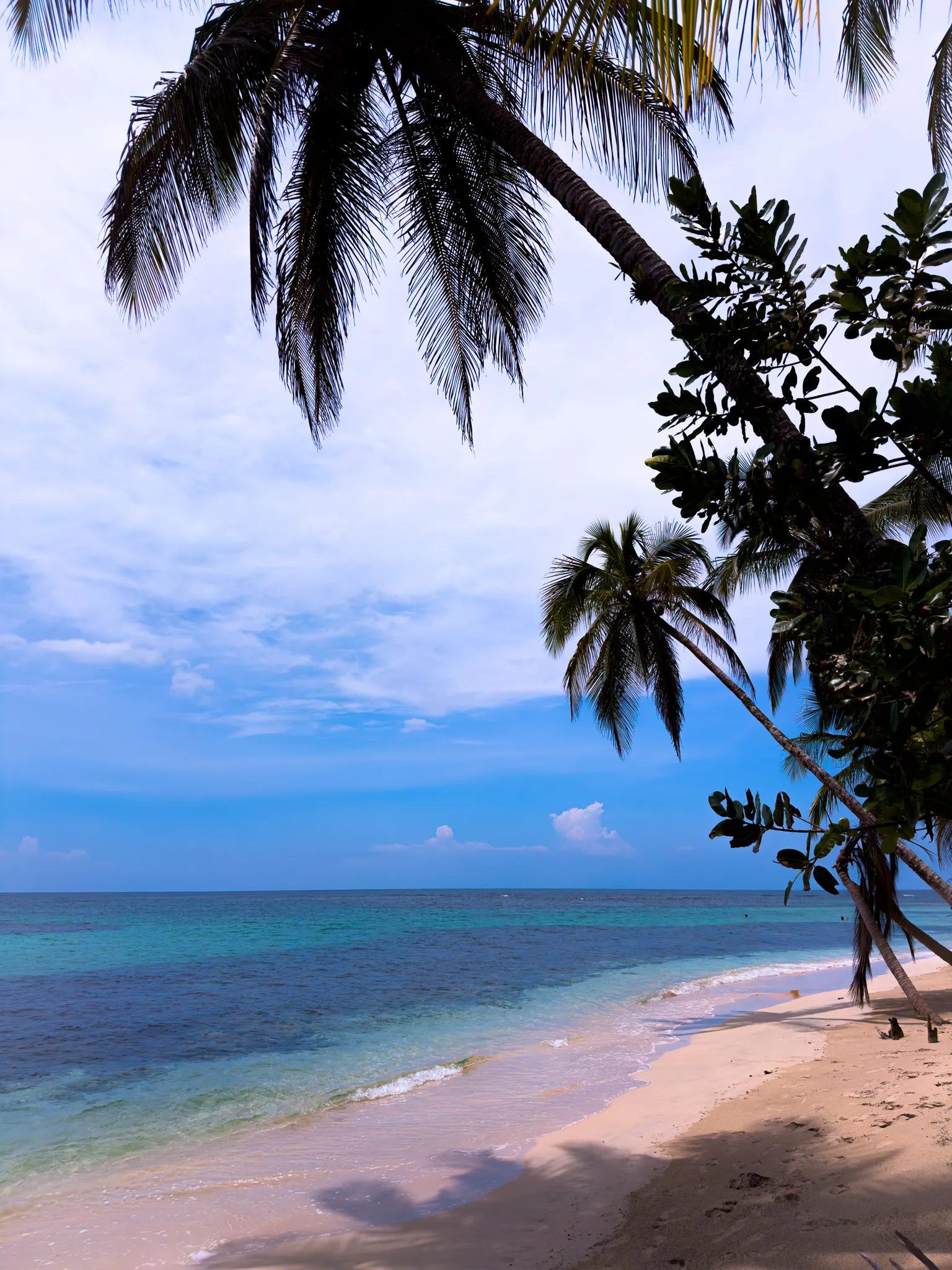 Playa de arena blanca con palmeras y agua turquesa en Cayo Zapatilla, Bocas del Toro