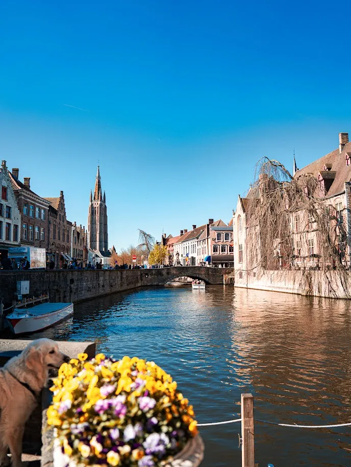 Brujas