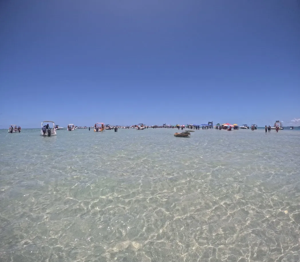 Vida marina en las piscinas naturales de Praia dos Carneiros