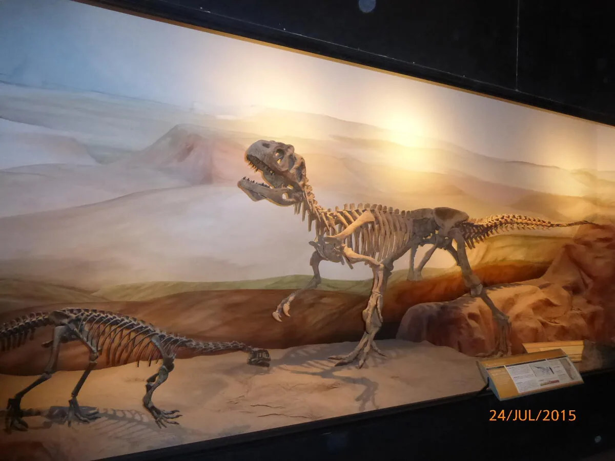 T-Rex en el Museo Egidio Feruglio de Trelew