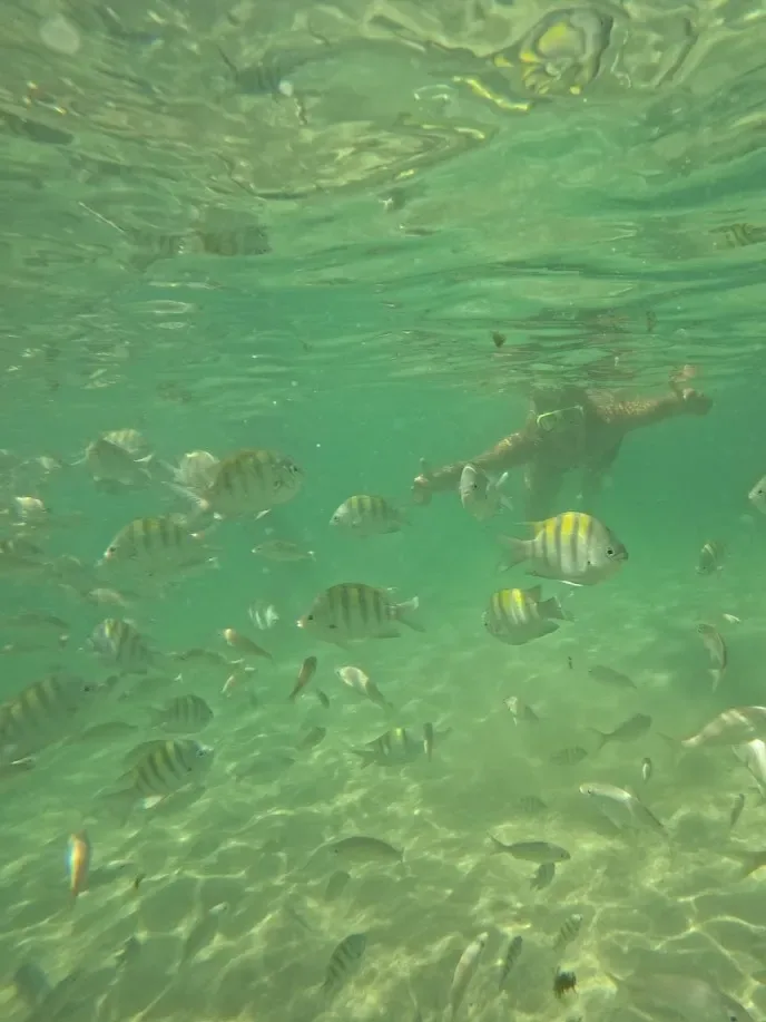 Snorkel en Pontal de Cupe, Porto de Galinhas