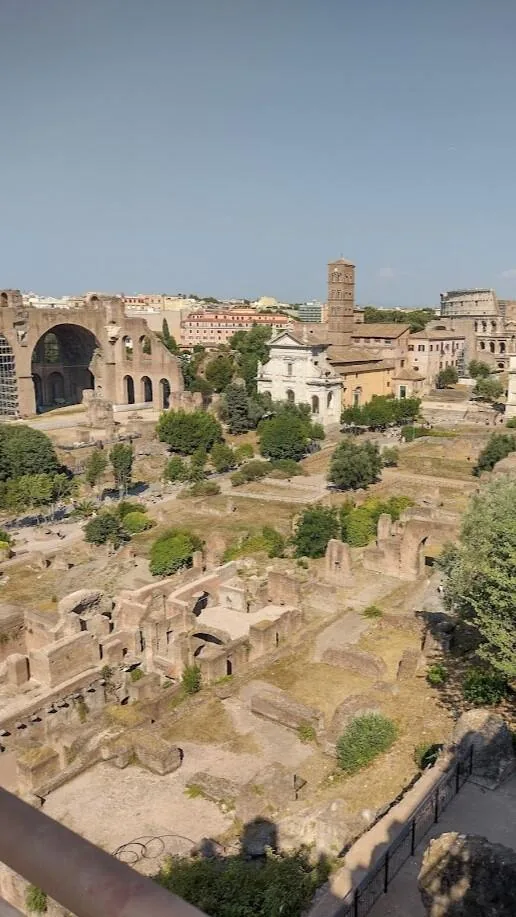 Foro Romano visto desde el Palatino