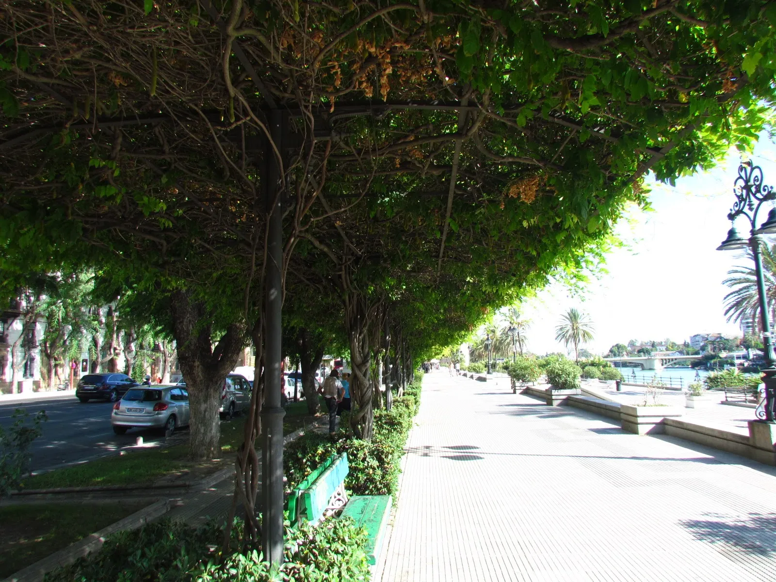 Paseo a orillas del río Guadalquivir de día, Sevilla